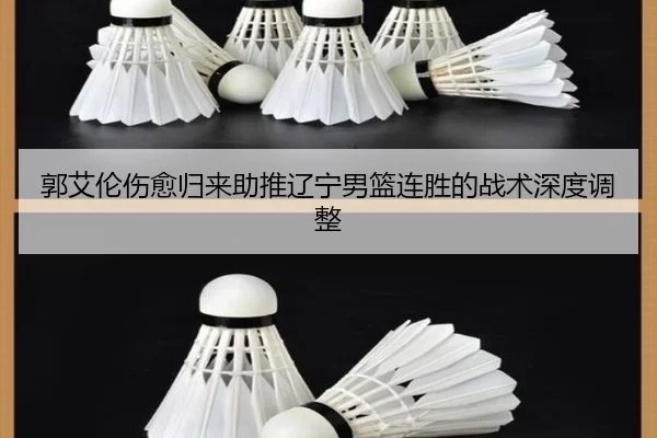 郭艾伦伤愈归来助推辽宁男篮连胜的战术深度调整